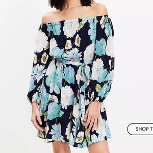 LOFT Floral Mini Dress - Blue and Green